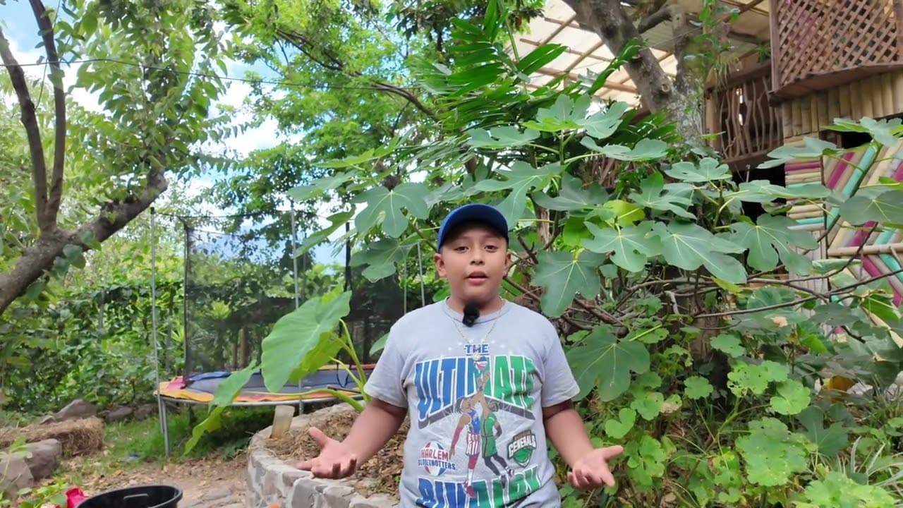 Alexander — 2do primaria
