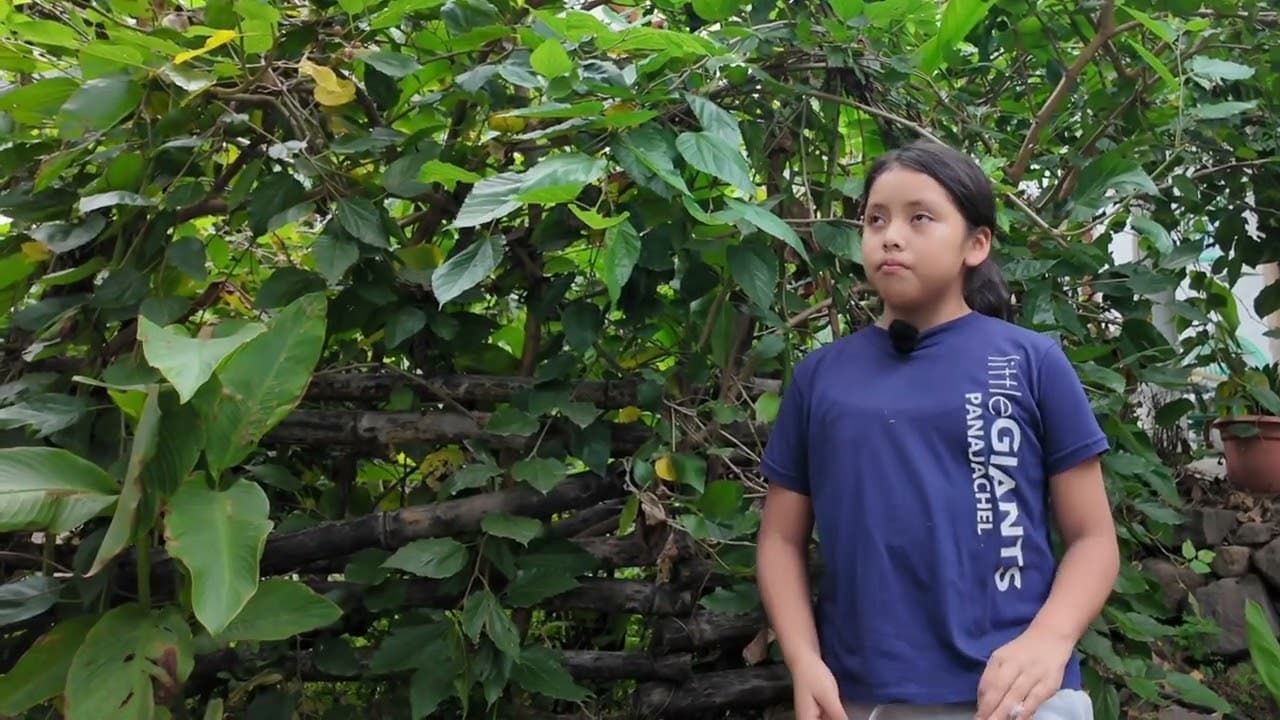 Jody — 4to primaria