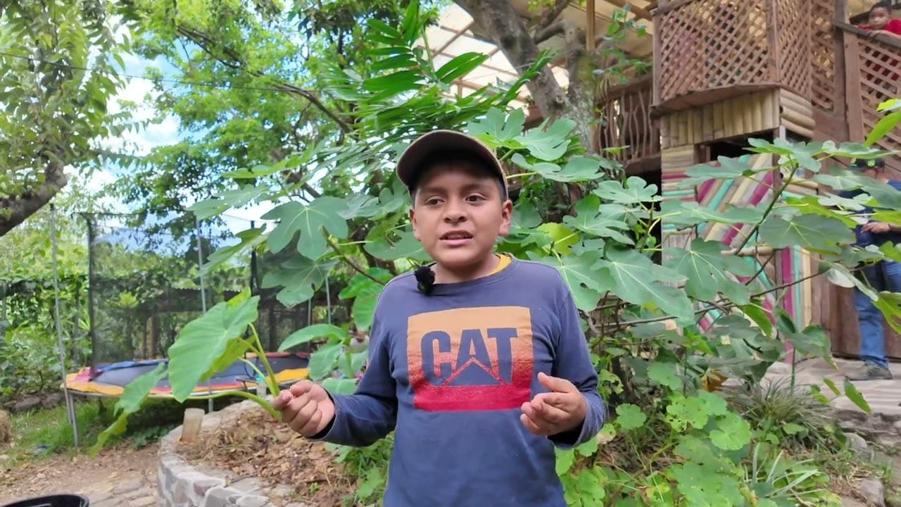 Cristopher — 6to primaria