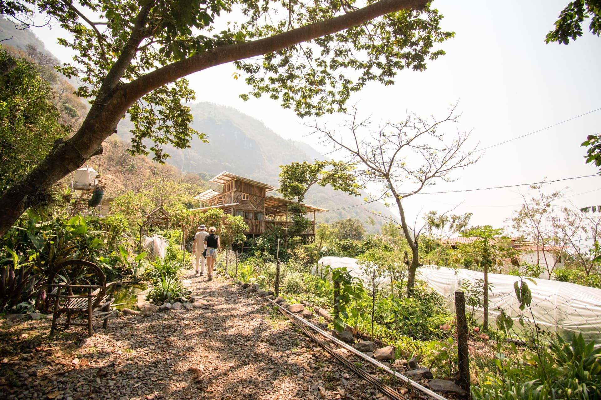 The path through Granja Tz’ikin — the timber tower, the growing tunnels and the mountains beyond