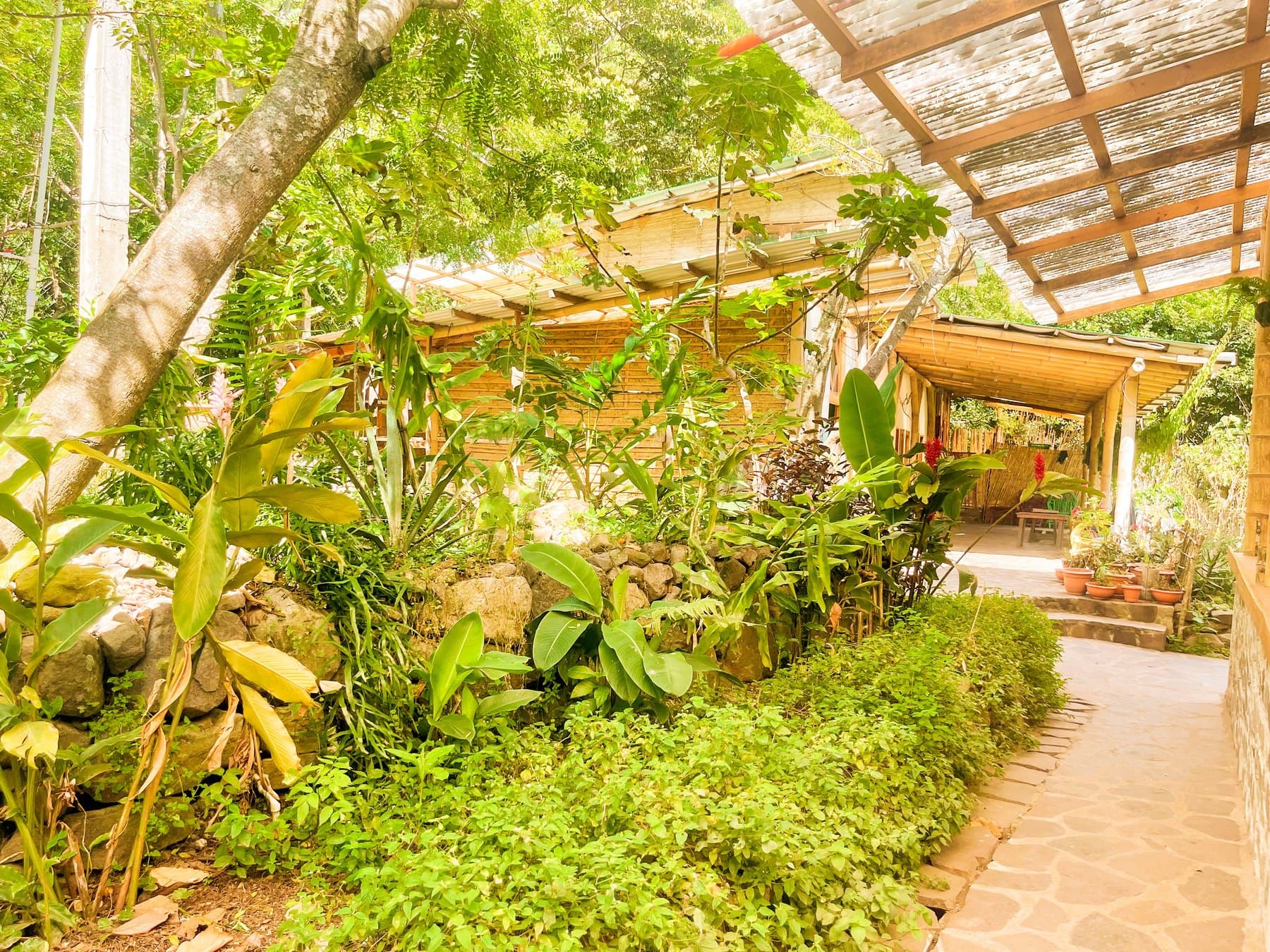 The stone path under the bamboo ramada at Granja Tz’ikin, banked with planting on both sides