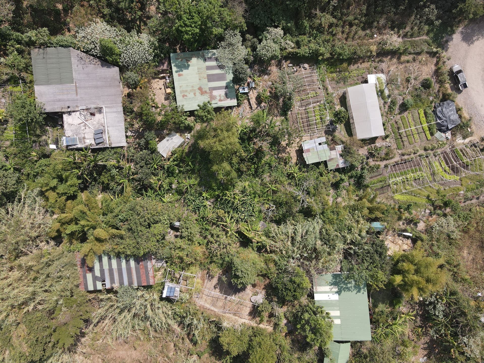 Granja Tz’ikin straight down from the air — the buildings, greenhouse, nursery and terraced growing beds threaded through the trees