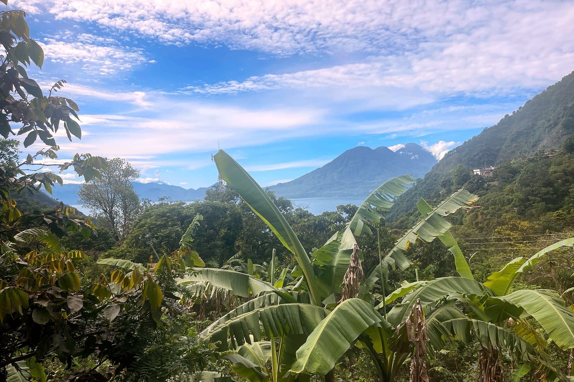 Lake Atitlán and the volcanoes framed through banana leaves on the hillside