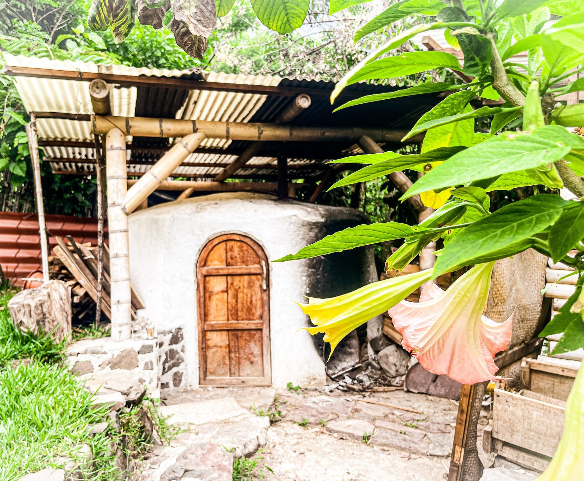 The domed earthen temazcal at Granja Tz’ikin, its arched timber door set into lime-plastered walls under a bamboo ramada, brugmansia in flower alongside