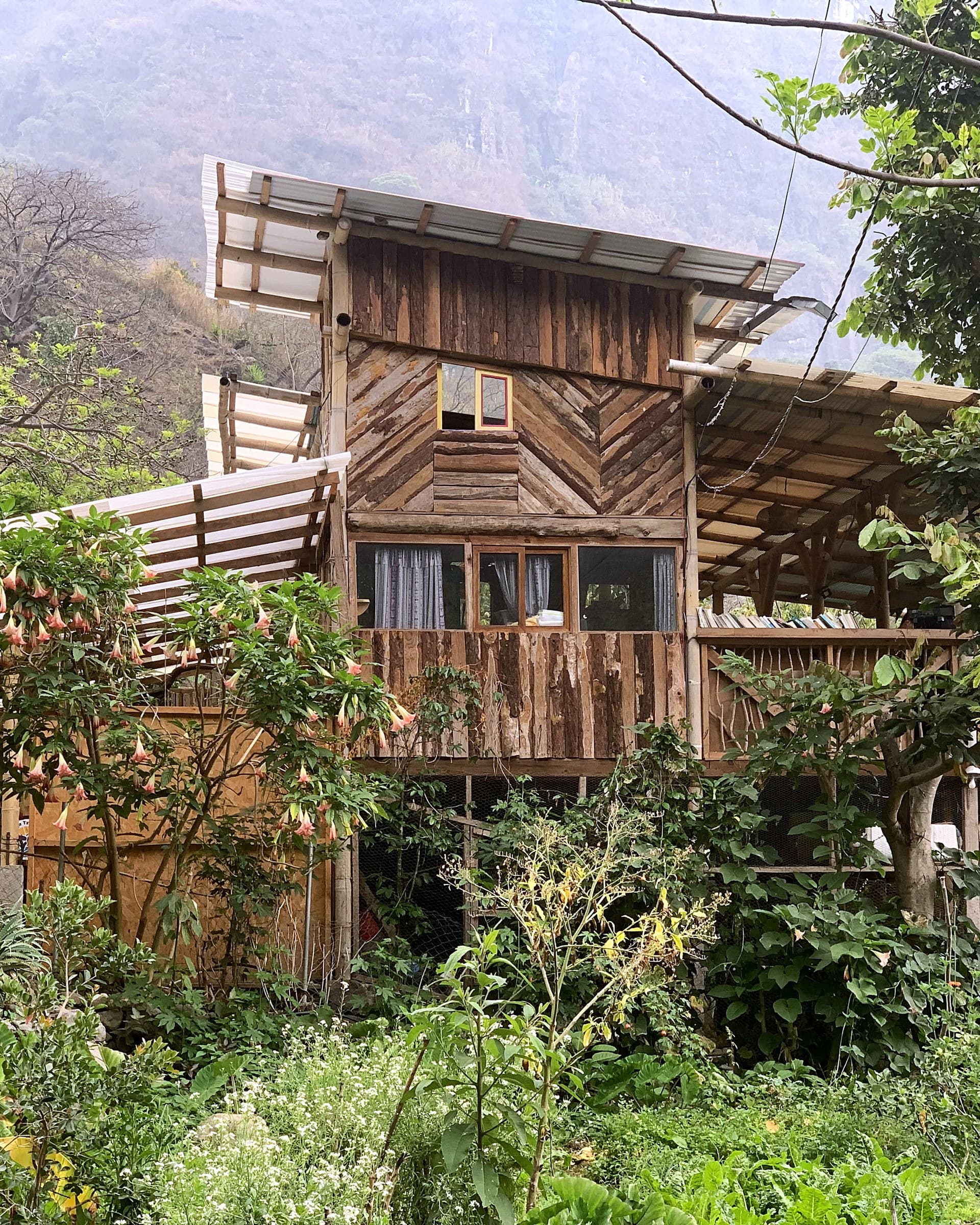 The multi-level timber and bamboo build at Granja Tz’ikin, its chevron-clad tower rising above the garden with brugmansia in flower below