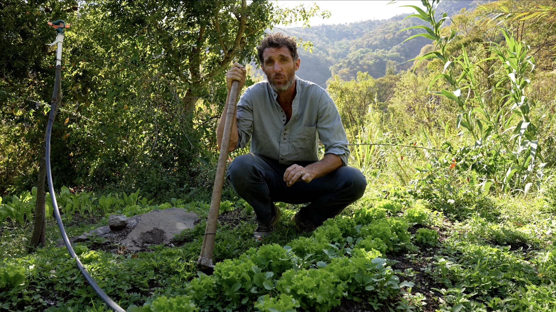 Neal Hegarty en cuclillas en una cama de lechugas en Granja Tz’ikin, con la azada en la mano y el valle detrás