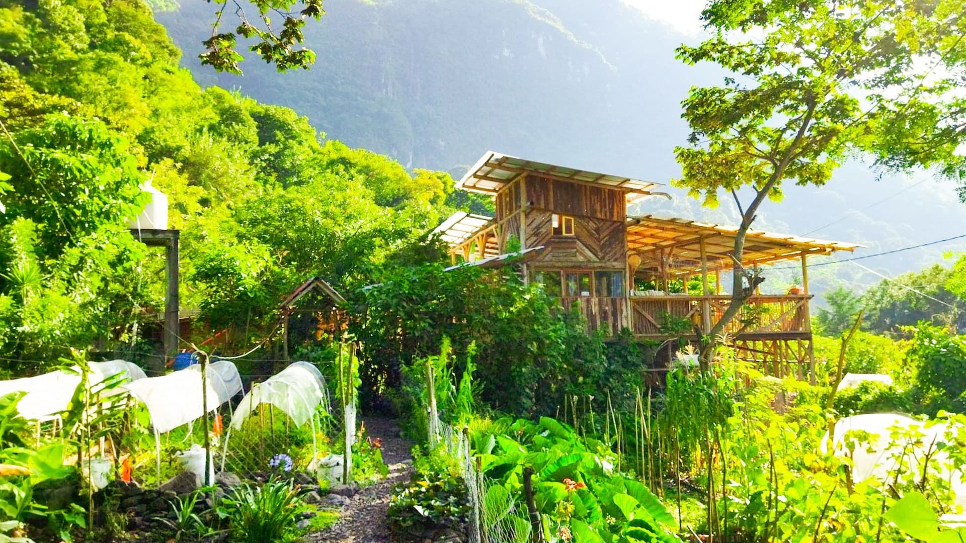Neal Hegarty in the gardens at Granja Tz’ikin