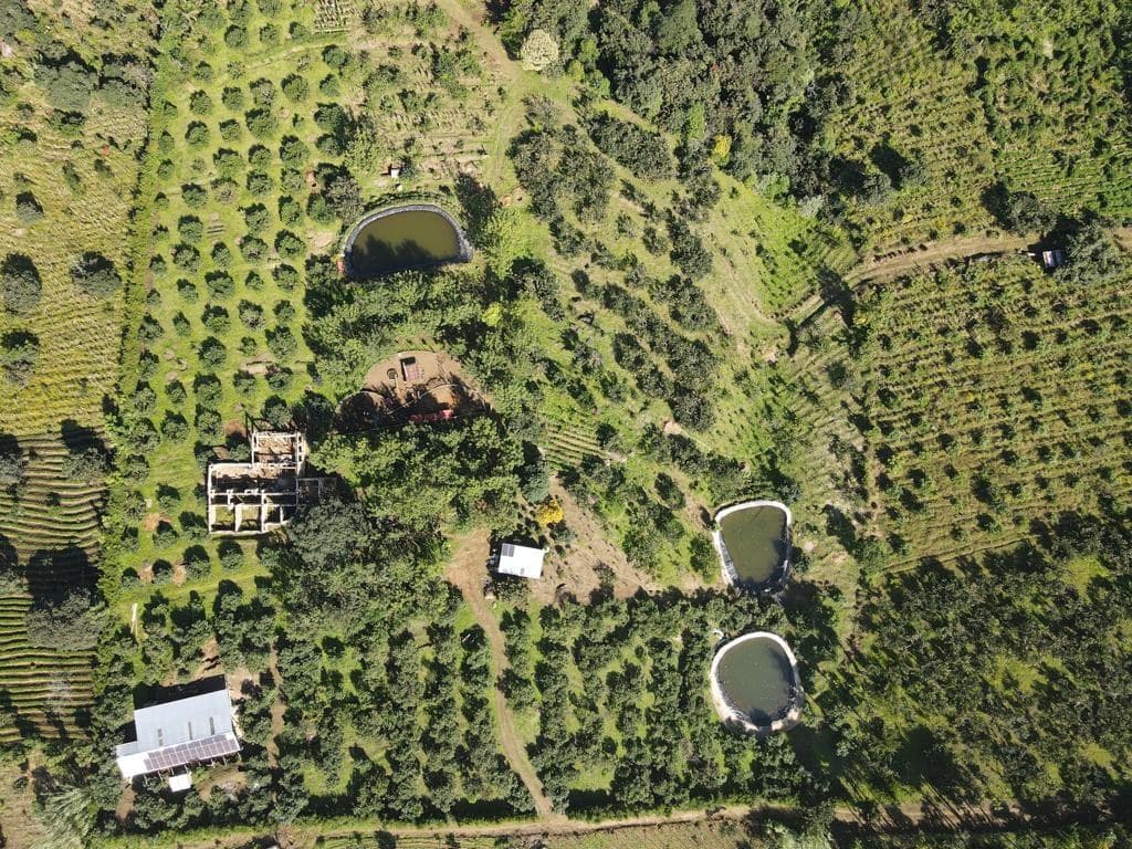 Aerial view of the Fife property — orchard rows, three lined water-storage ponds, outbuildings and a solar array