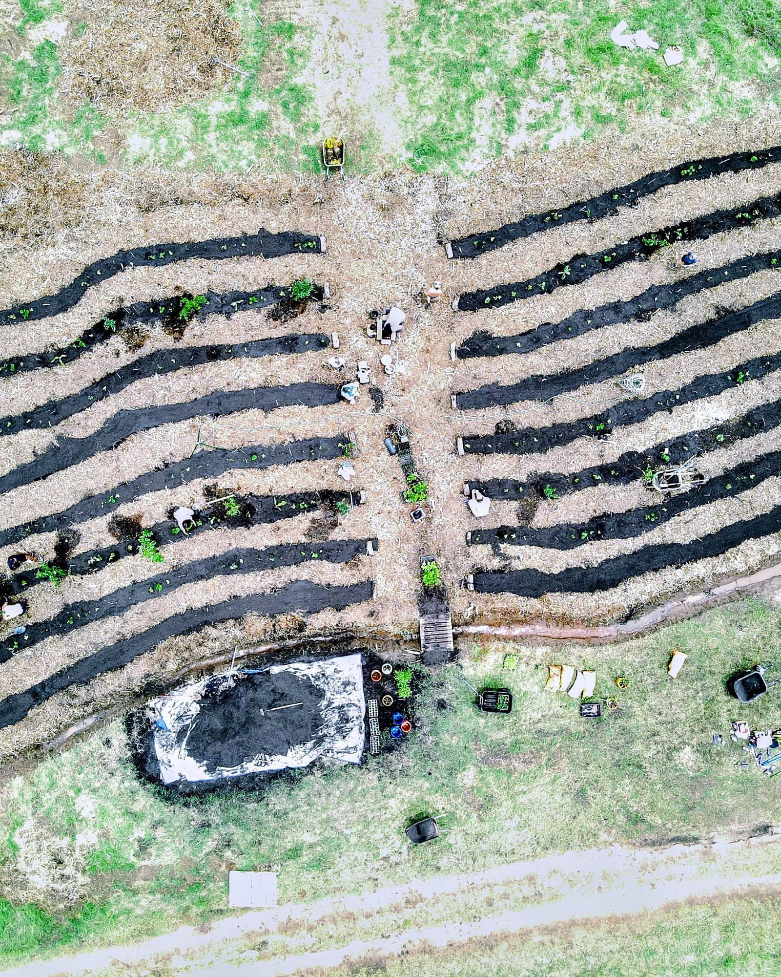 Kintsugi Ranch from directly above — contour growing beds curving across the slope, newly planted, with a central access path running down the middle