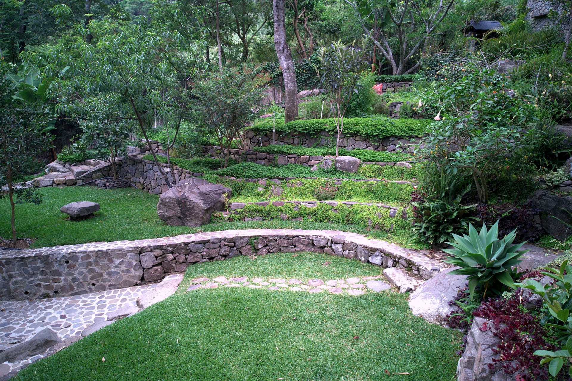 Curved dry-stone retaining walls, lawn and flagstone paths stepping down the finished terraced garden