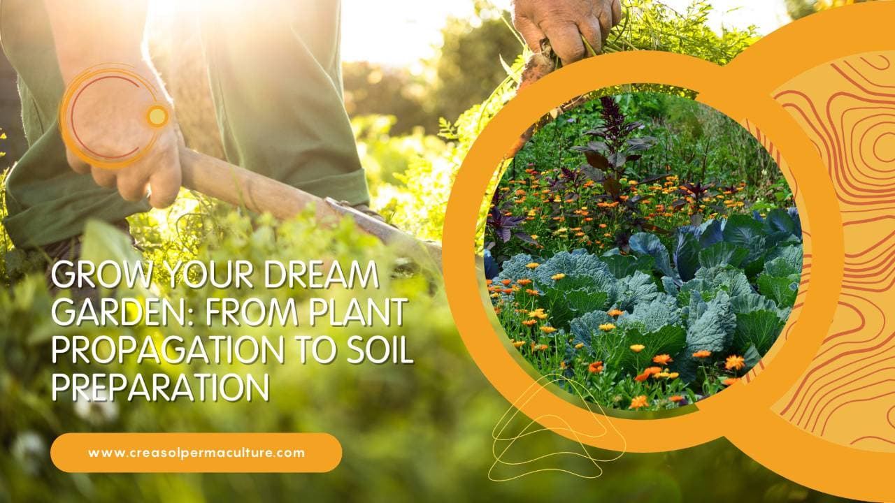 Garden with thriving plants
