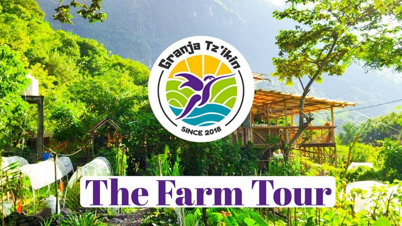 Granja Tz’ikin farm landscape
