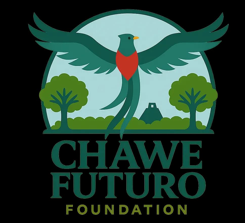 Chawe Futuro Foundation