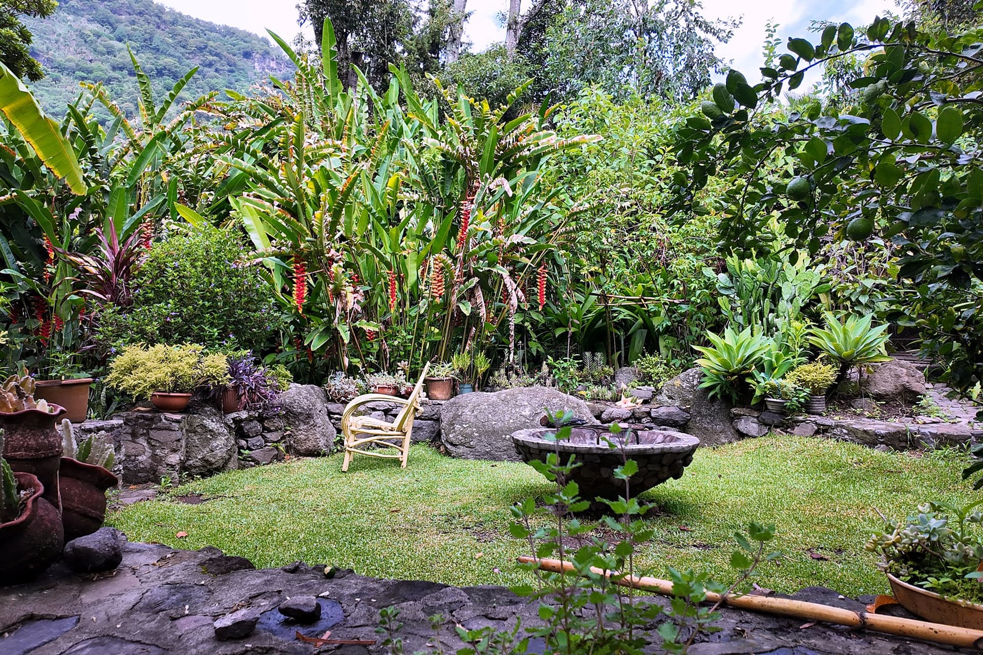 A natural swimming pond beside the treehouse at Granja Tz’ikin