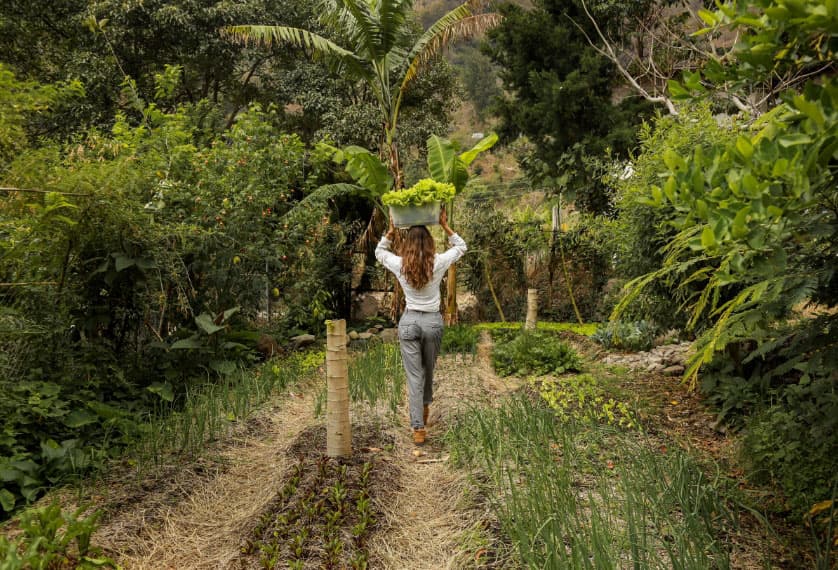 Walking the growing beds and food forest at Granja Tz’ikin