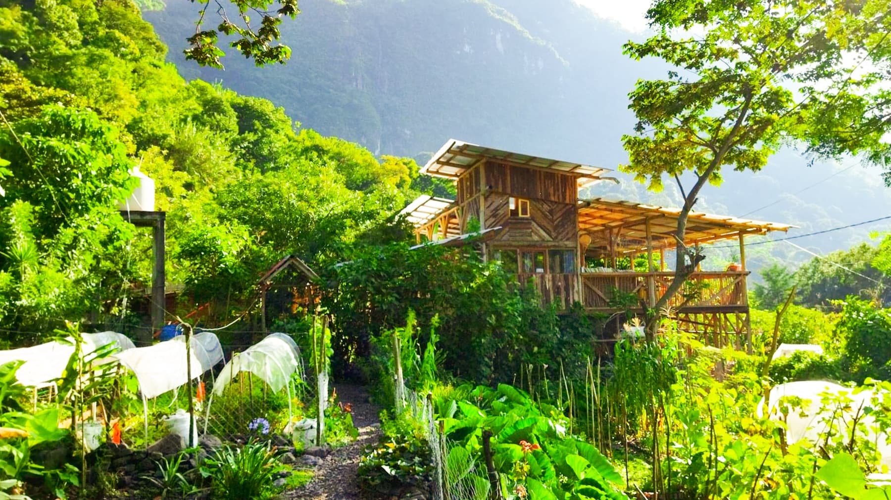 Granja Tz’ikin — the bamboo build and food-forest gardens on the hillsides above Tzununá, Lake Atitlán