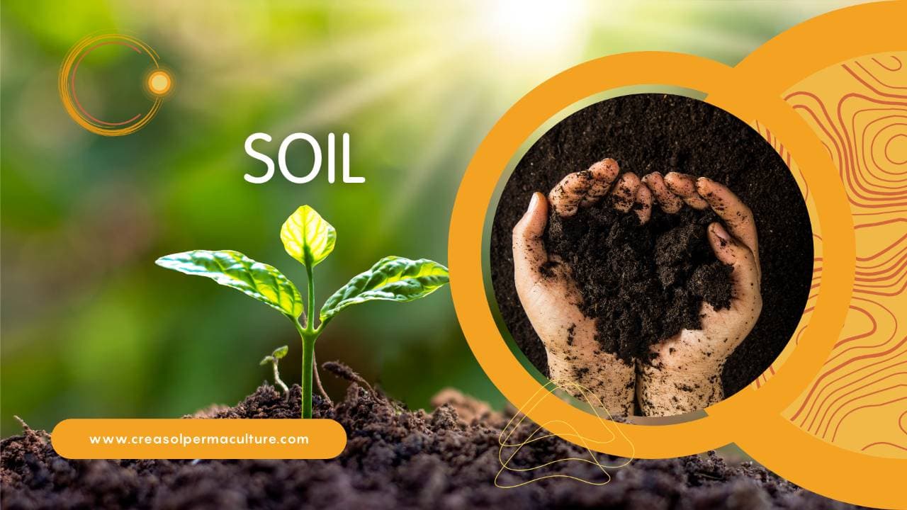 Soil