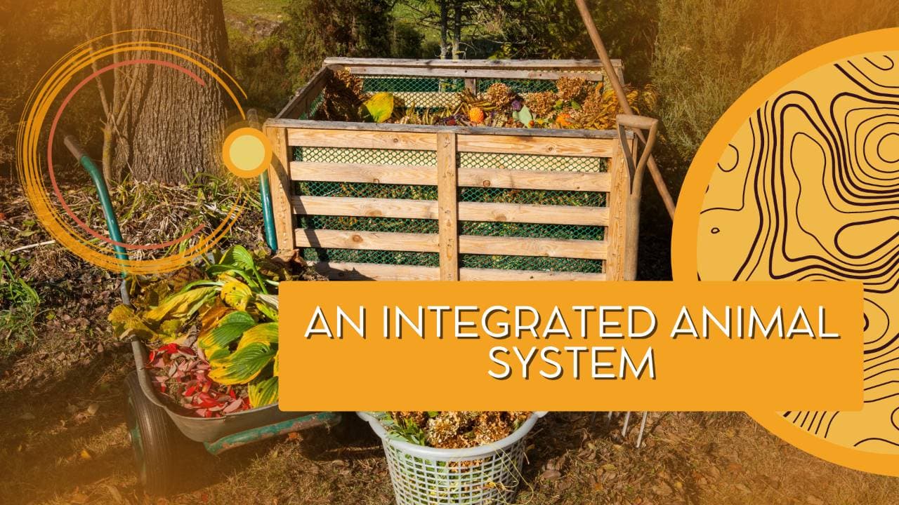 An Integrated Animal System