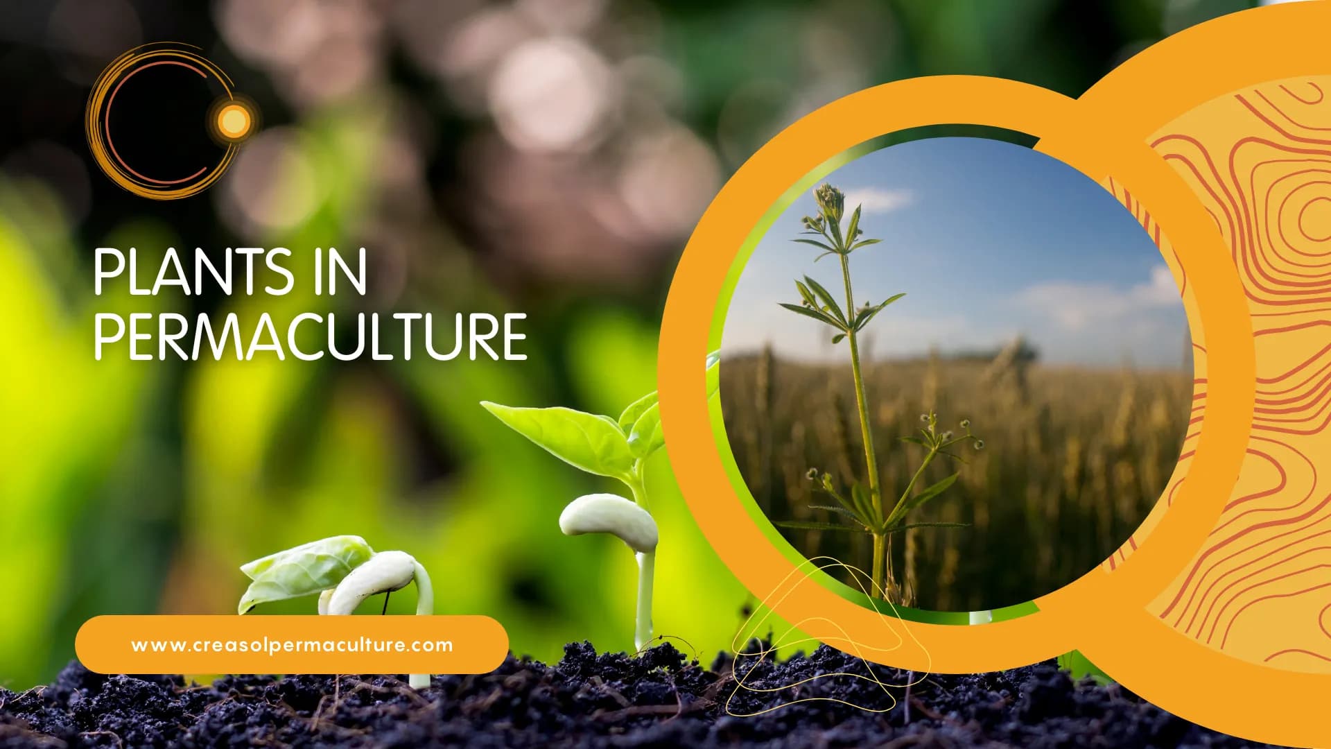 Free Course: Grow Your Dream Garden - From Plant Propagation to Soil Preparation