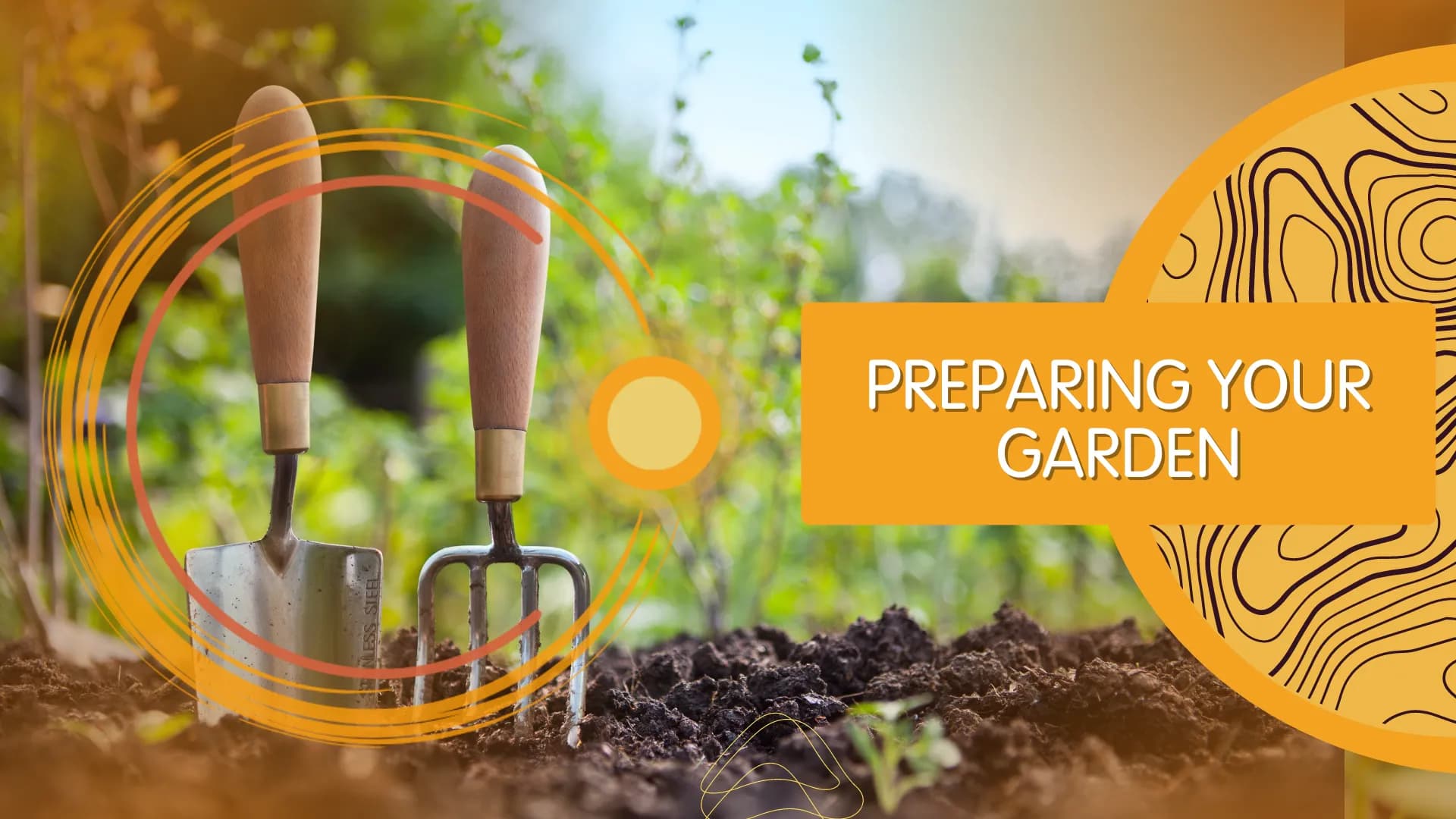 Plant Propagation