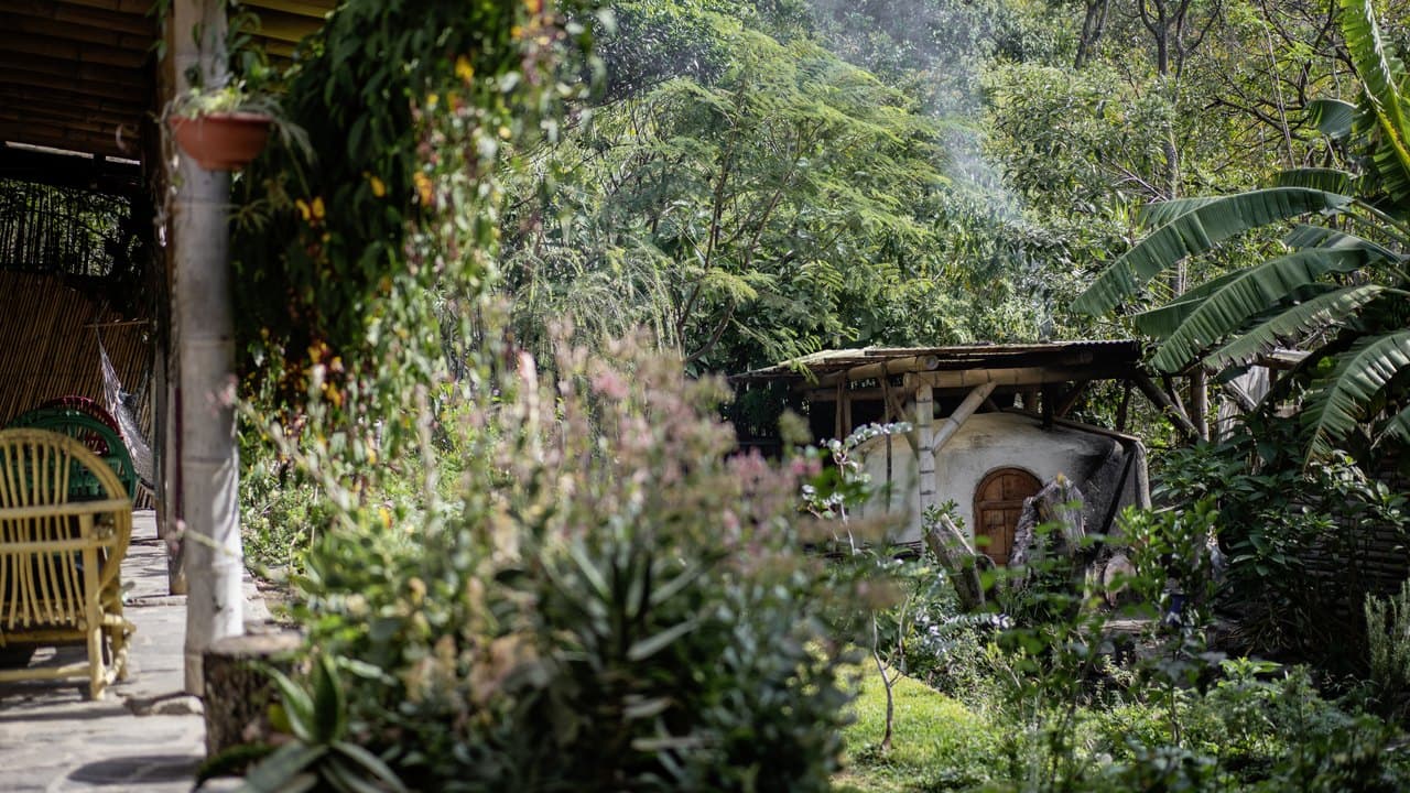 The gardens, bamboo buildings and cob oven at Granja Tz’ikin