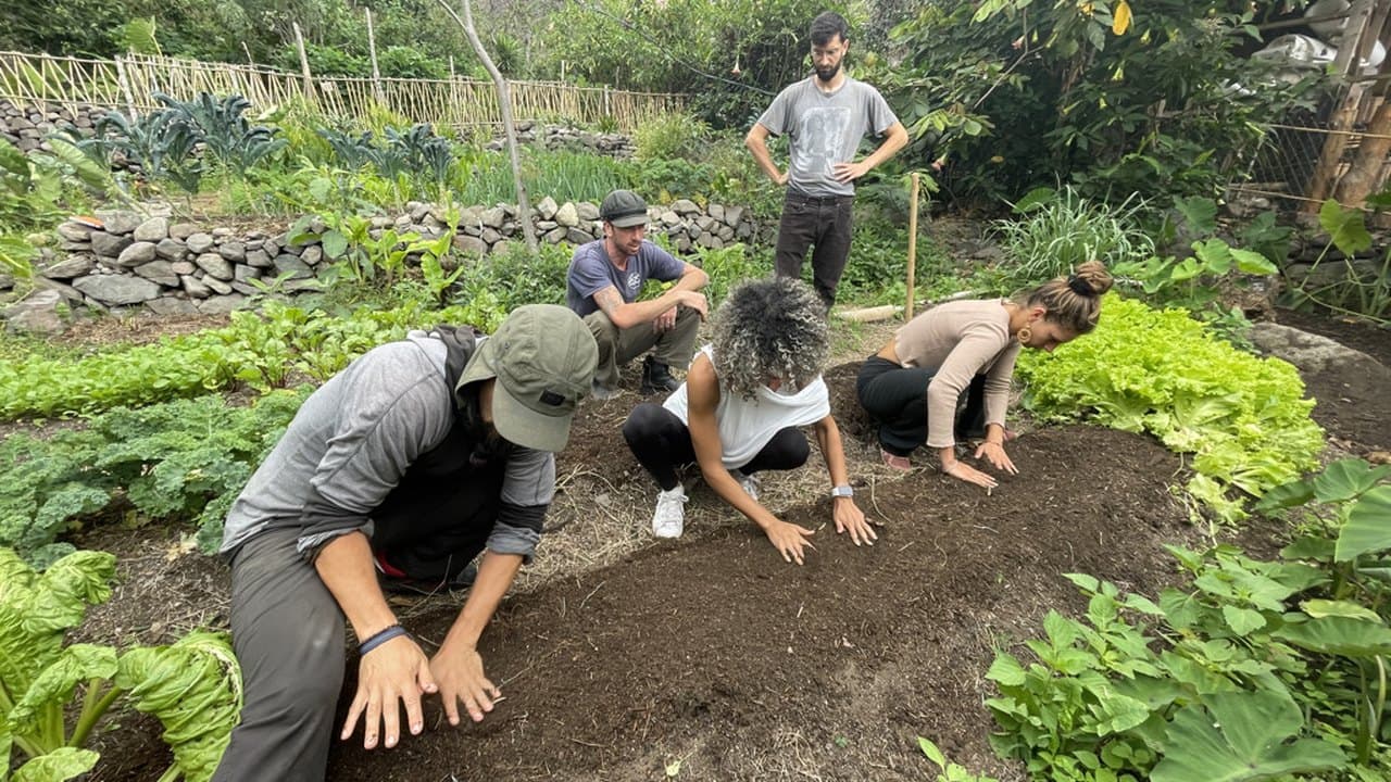 Interns planting a garden bed together at Granja Tz’ikin