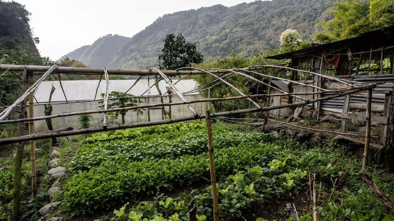 Terraced market-garden beds on the hillside at Granja Tz’ikin