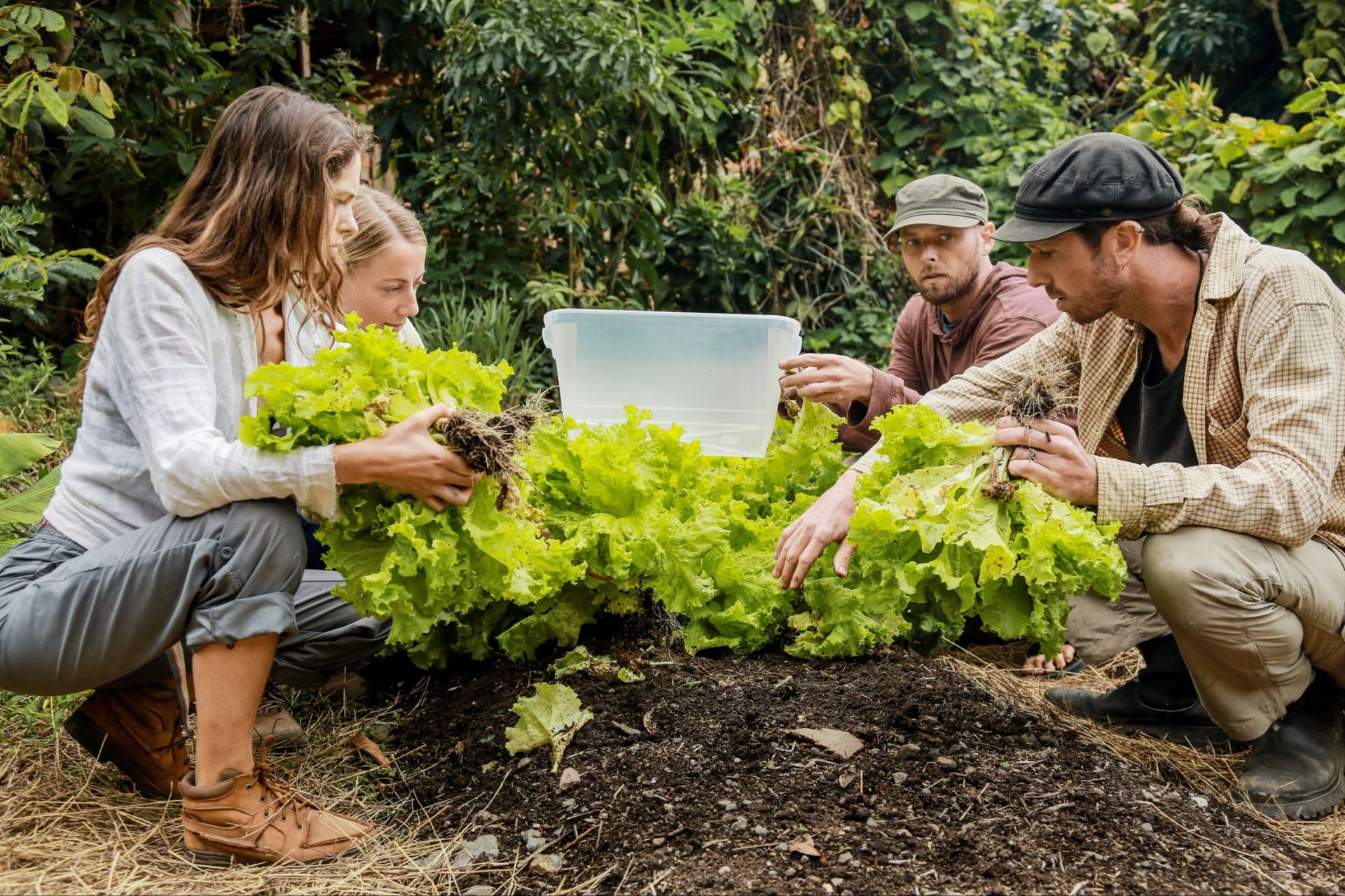 Interns learning regenerative farming together at Granja Tz’ikin
