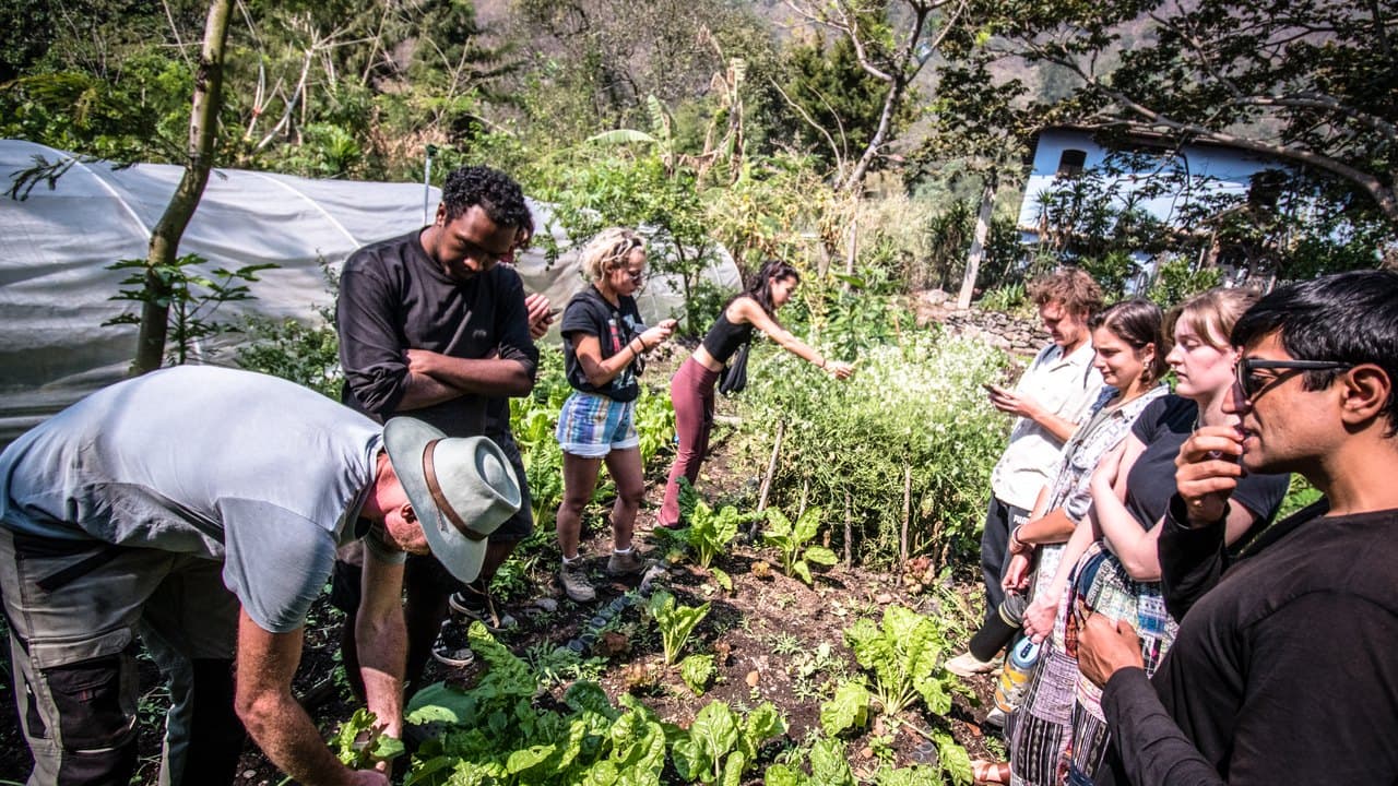 Harvesting together with the group