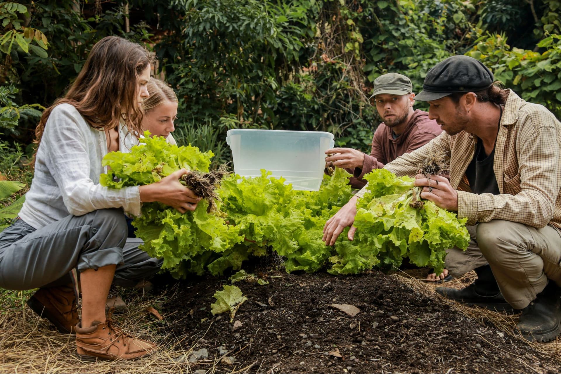 A regenerative permaculture landscape at Lake Atitlán