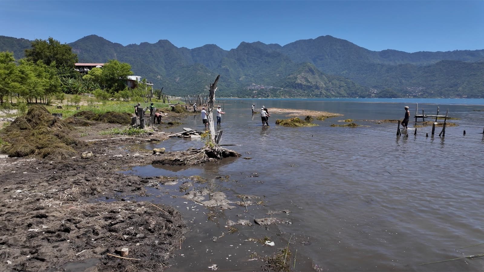 Playa San Pedro — An approved wetland design now under construction on the municipality’s shoreline — 140 metres of it, filtering roughly 40 million litres of water before it reaches the lake.