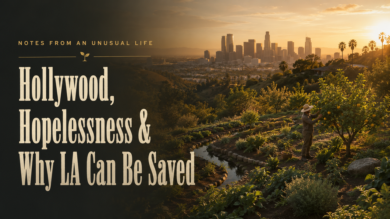 Notes From An Unusual Life