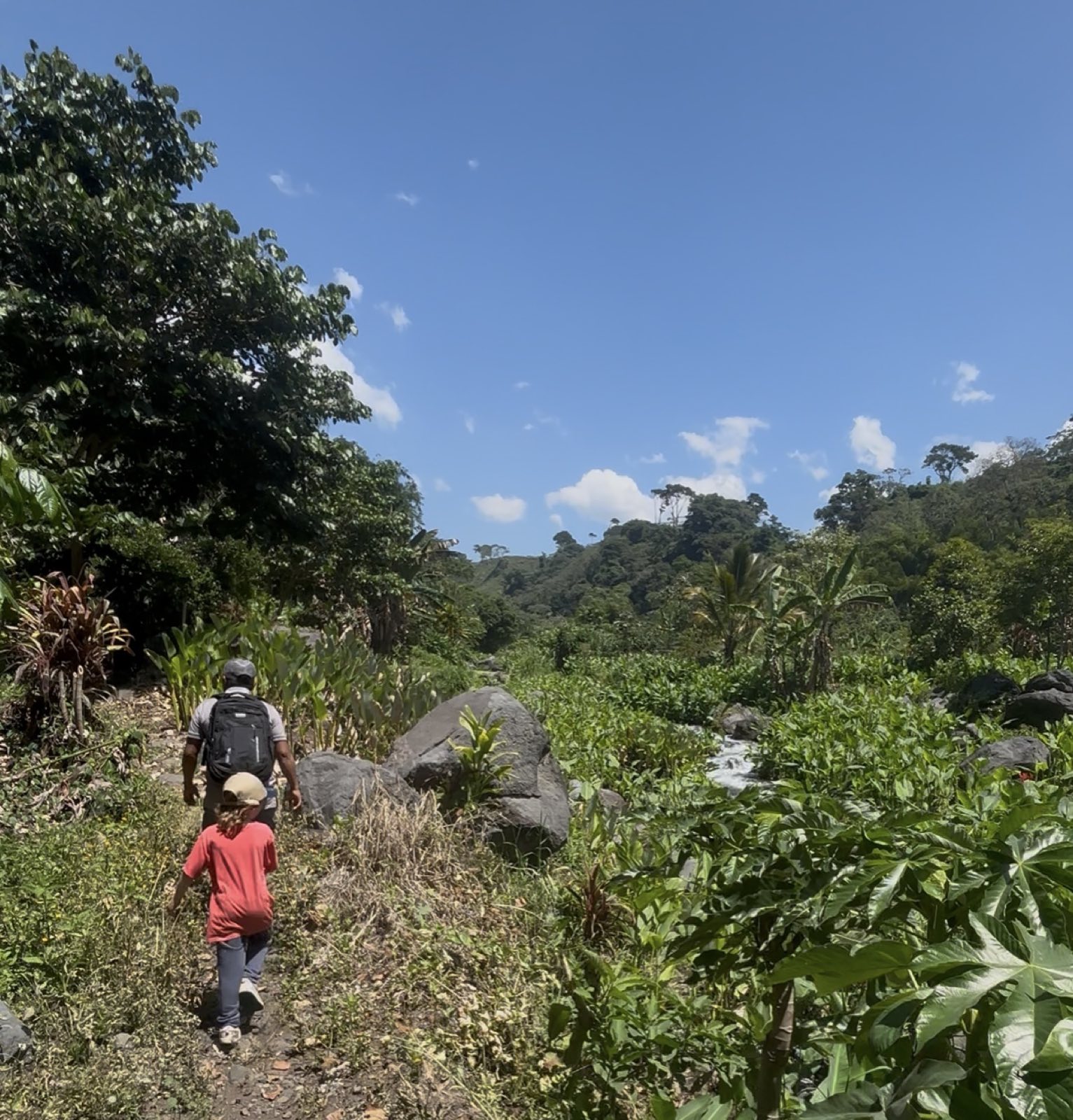 Two people walking a stony path up the valley, the stream and the food forest below them